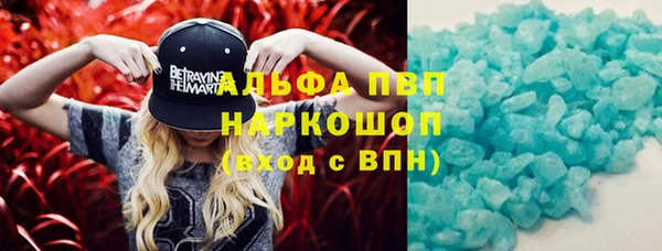 прущие грибы Касимов